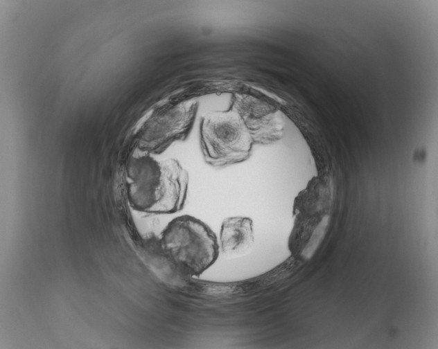 X0000111800757200908131435