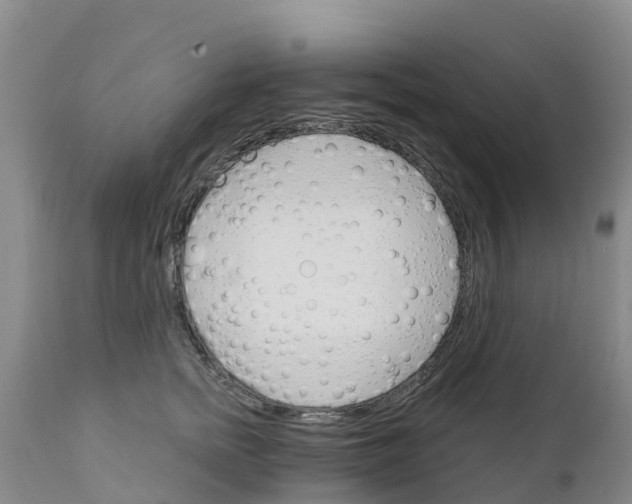 X0000111800758200908131435