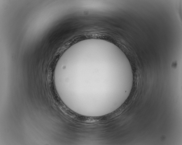 X0000111800760200908131435