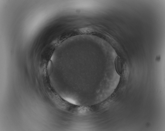 X0000111800762200908131436