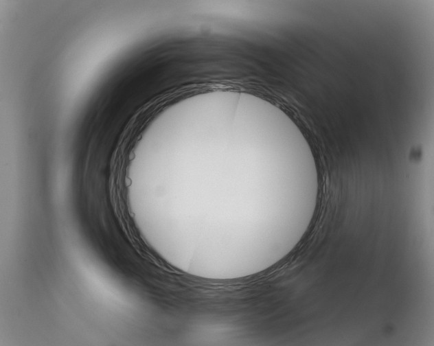 X0000111800763200908131436