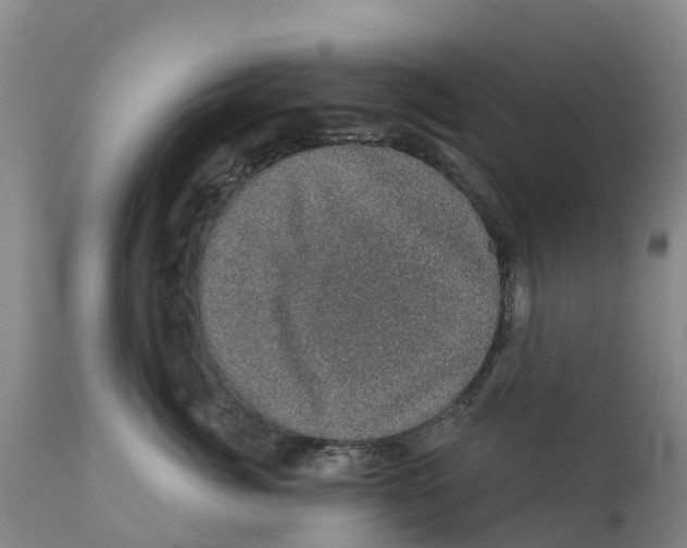 X0000111800764200908131436