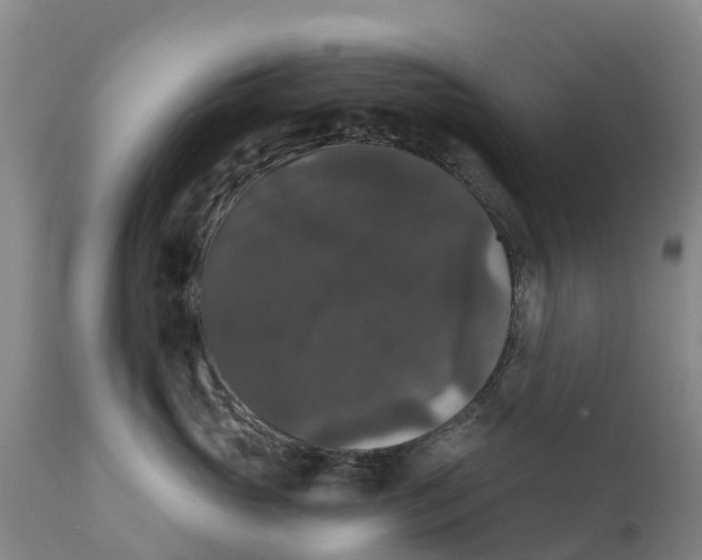 X0000111800765200908131436