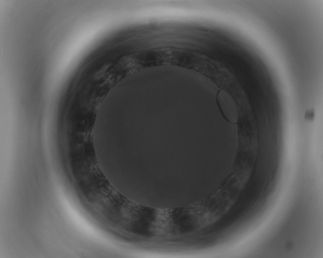 X0000111800766200908131436