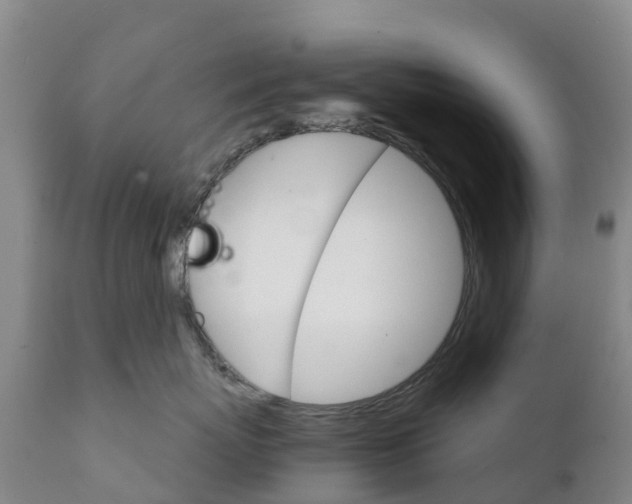 X0000111800767200908131436