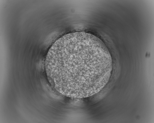 X0000111800768200908131436