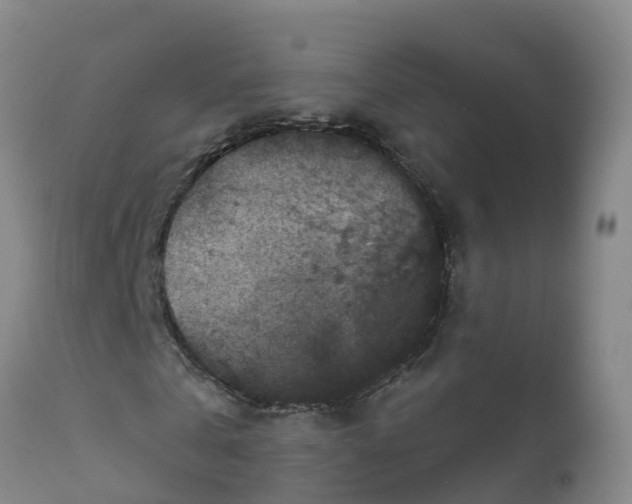 X0000111800769200908131435
