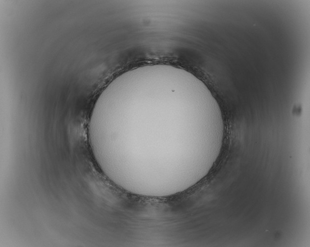 X0000111800770200908131435