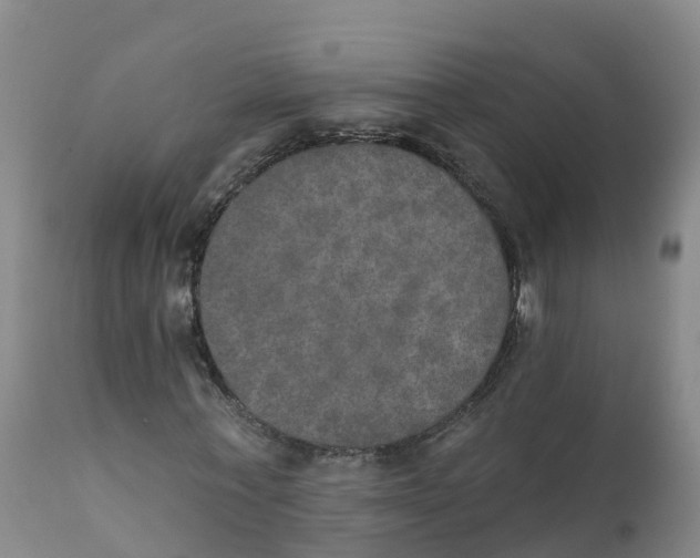 X0000111800771200908131435