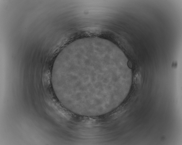 X0000111800772200908131435
