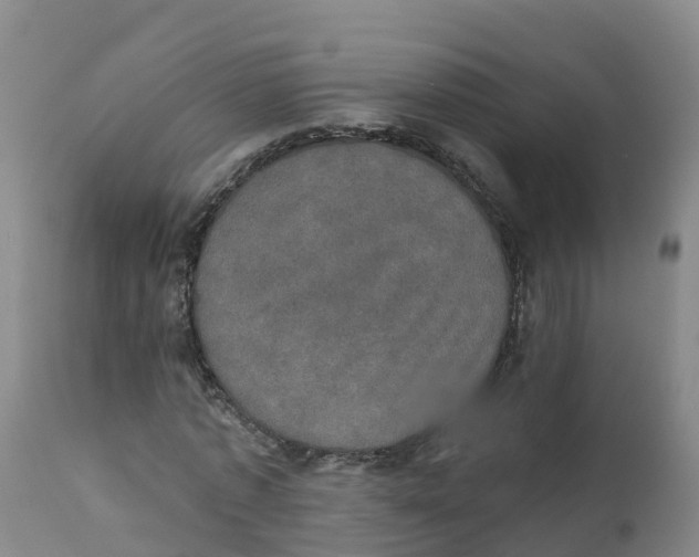 X0000111800773200908131435