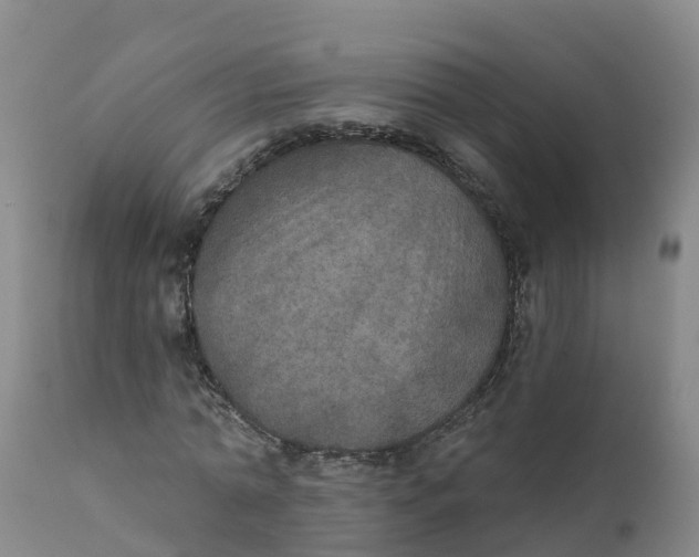 X0000111800774200908131435