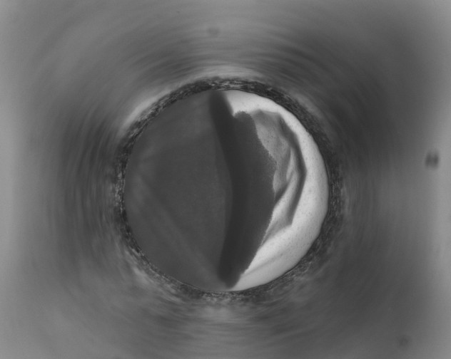 X0000111800775200908131435