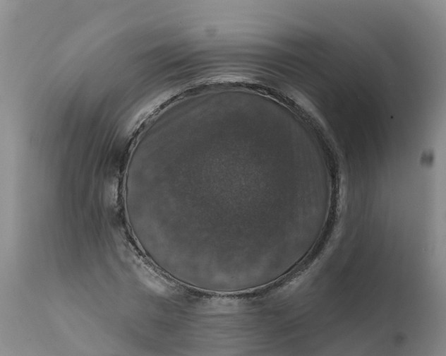 X0000111800777200908131435