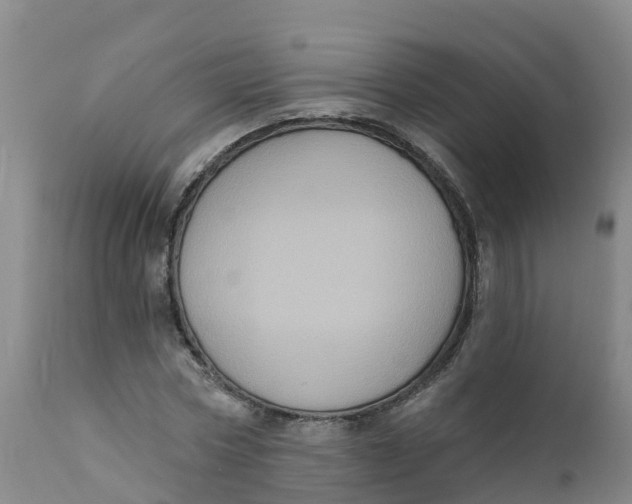 X0000111800778200908131435