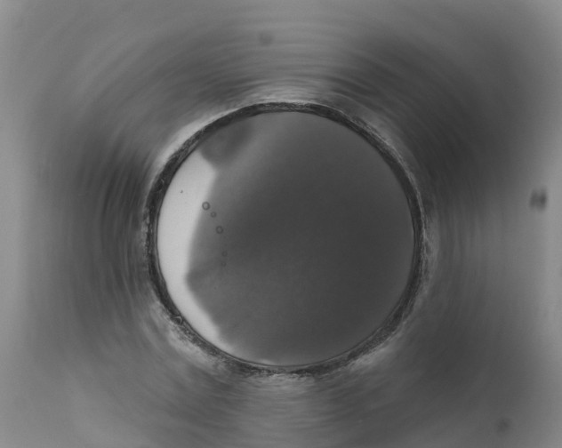 X0000111800779200908131435