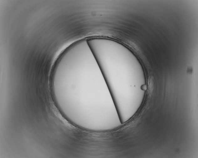 X0000111800780200908131435