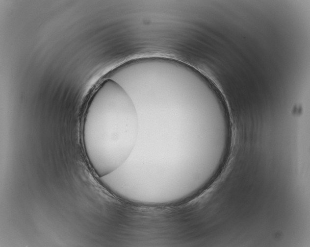 X0000111800781200908131435