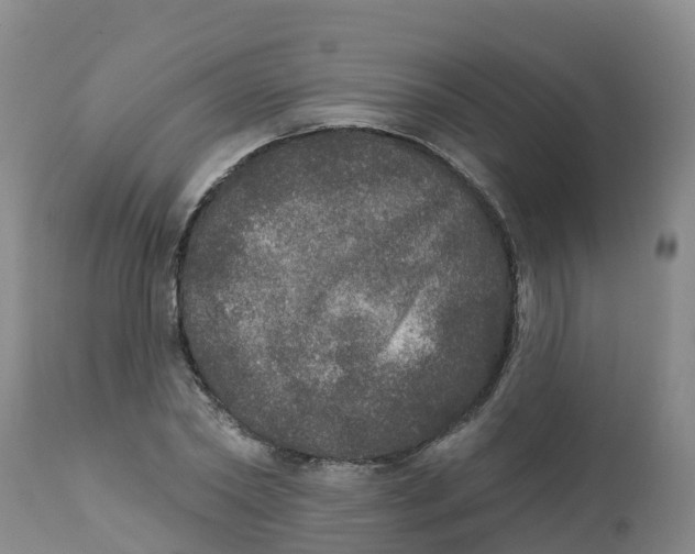 X0000111800782200908131435