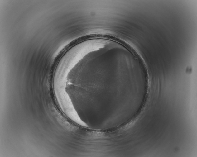 X0000111800783200908131435