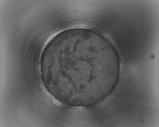 X0000111800784200908131435