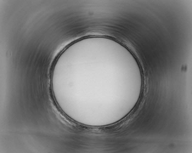 X0000111800787200908131435