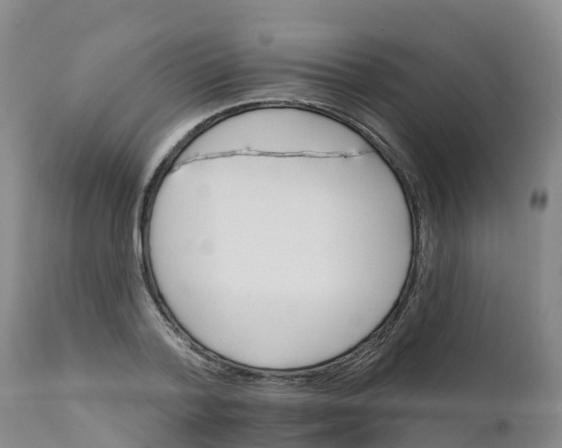 X0000111800788200908131435