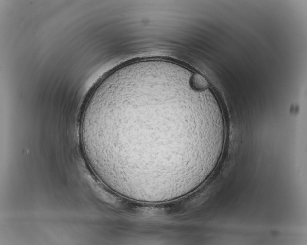 X0000111800789200908131435