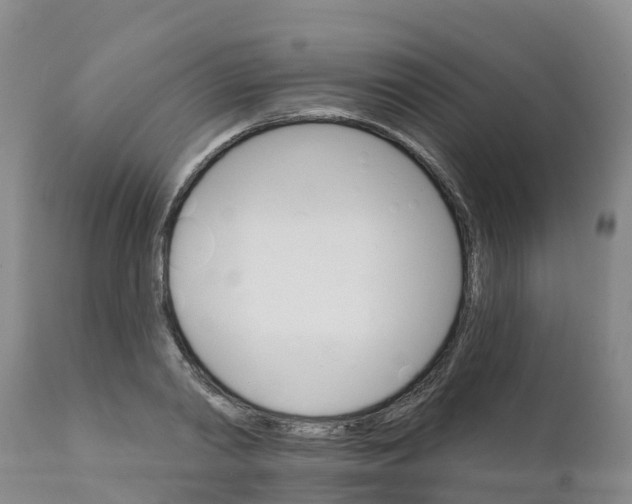 X0000111800790200908131435