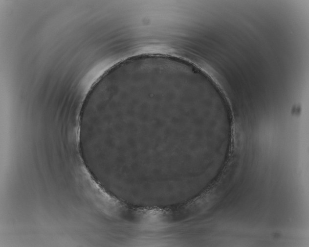 X0000111800791200908131435