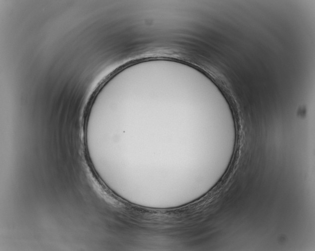 X0000111800792200908131435