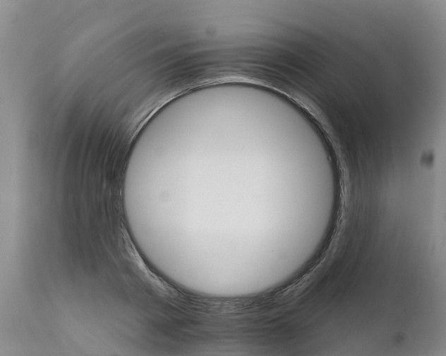X0000111800793200908131435