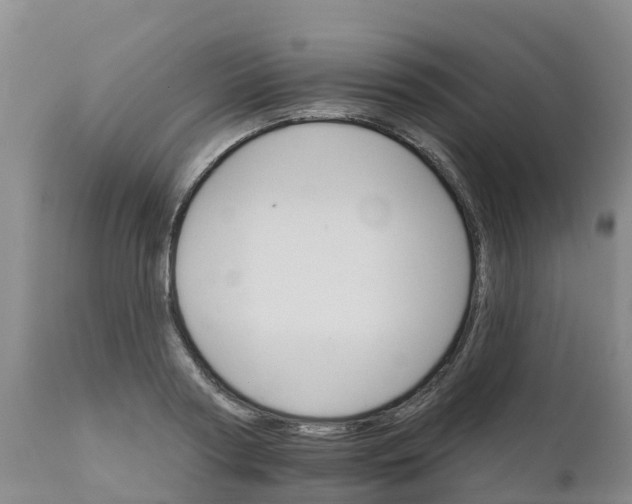 X0000111800794200908131435