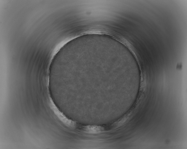 X0000111800795200908131435