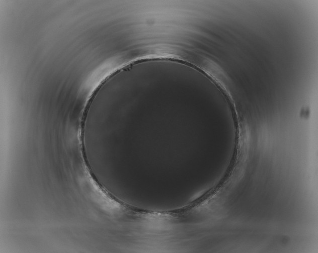 X0000111800797200908131435