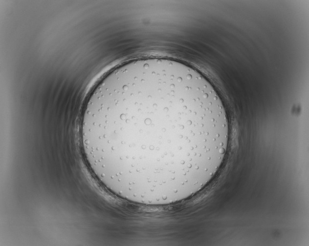 X0000111800798200908131435