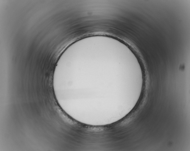 X0000111800801200908131435