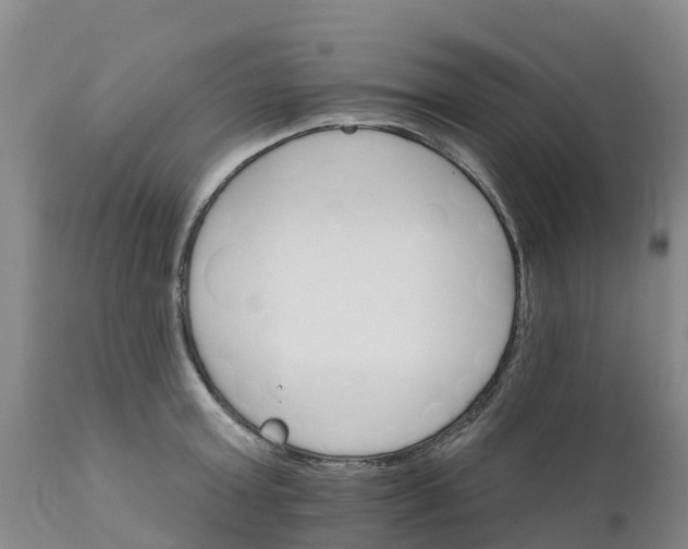 X0000111800803200908131434