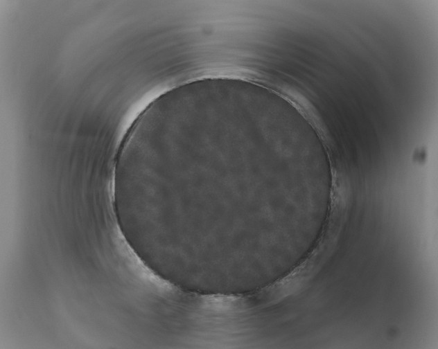 X0000111800804200908131434