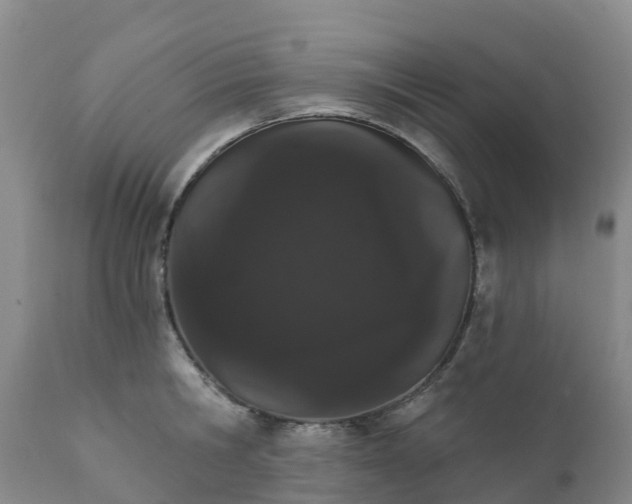 X0000111800806200908131434