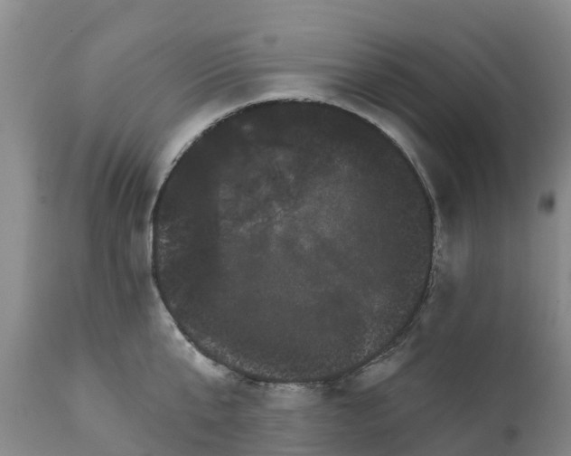 X0000111800807200908131434