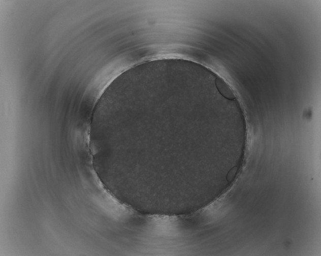 X0000111800809200908131434