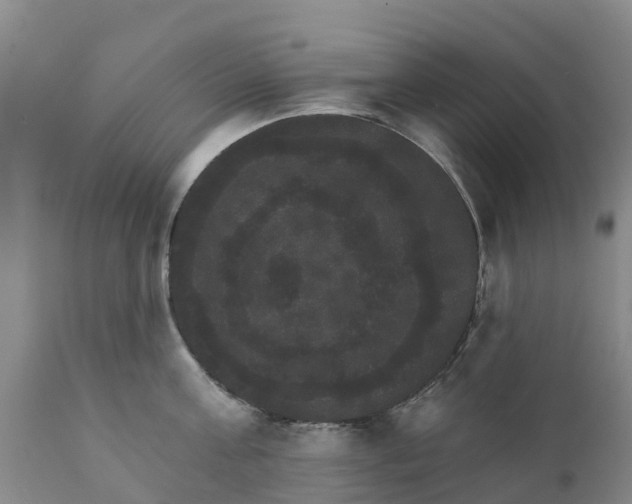 X0000111800811200908131434