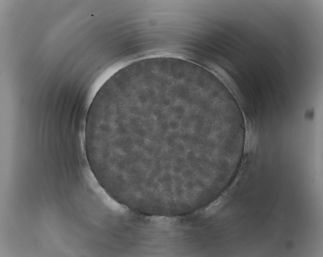 X0000111800812200908131434