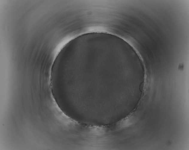 X0000111800815200908131434