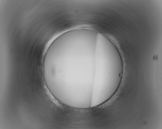 X0000111800816200908131434