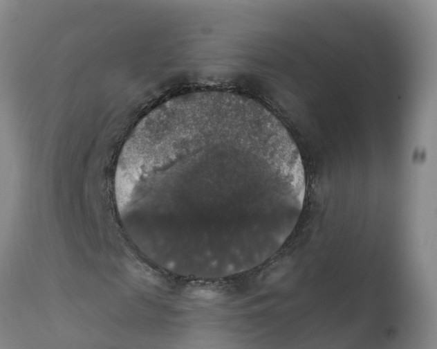 X0000111800817200908131433