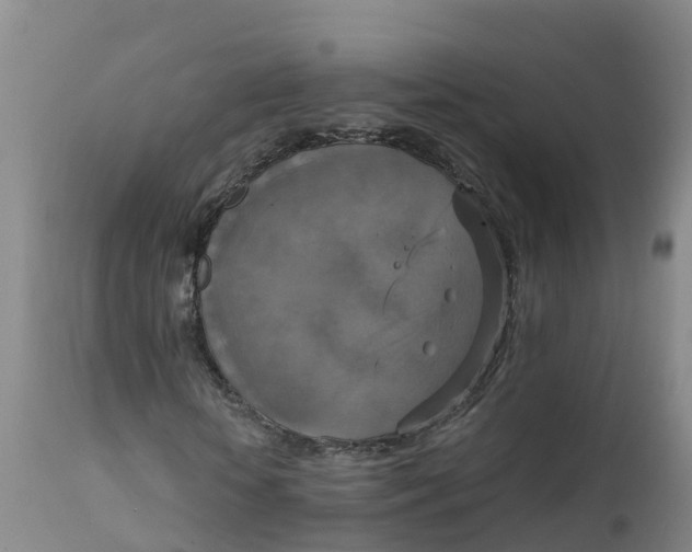 X0000111800818200908131433