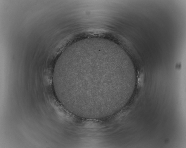 X0000111800819200908131433