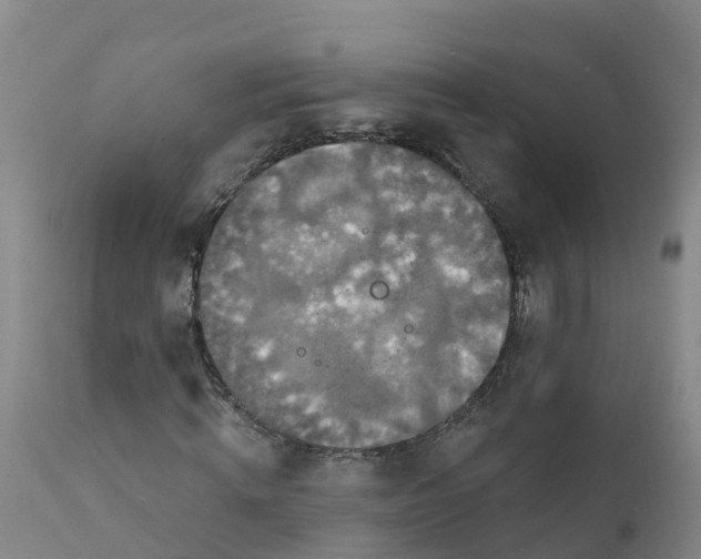 X0000111800820200908131434